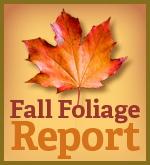 Fall Foliage Report