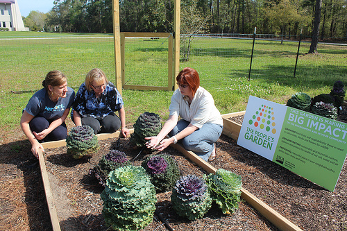 Christine Coker (right), a Mississippi State University horticulture professor and NRCS Earth Team volunteer, teaches Leigh Anne Leech and Debra Veeder about irrigating raised garden beds.