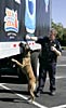 A CBP K-9 officer runs his dog to clear all trucks entering the Super Bowl venue.