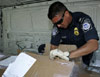 A CBP officer checks contents of a van entering Dolphin Stadium in Miami.