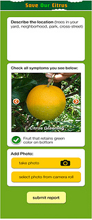 The new mobile app will ask questions to help identify and report citrus diseases.
