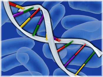 Scientists will be studying the genetic makeup of bacteria that cause foodborne illness.