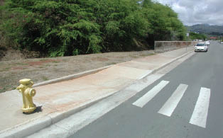 Case Study: Photo of parallel ramp at midblock crossing.