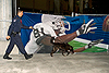 A CBP canine unit conducted an outdoor sweep of Raymond James Stadium which hosted Super Bowl XLIII in Tampa, Fla.