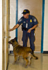 A CBP canine unit conducts an inside sweep of Raymond James Stadium which hosted Super Bowl XLIII in Tampa, Fla.