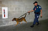 A CBP canine unit conducts an inside sweep of Raymond James Stadium which hosted Super Bowl XLIII in Tampa, Fla.