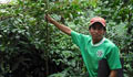 Guatemalan coffee farmer holding young tree (UNDP)