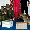 CBP Border Patrol agent performs canine demonstration.