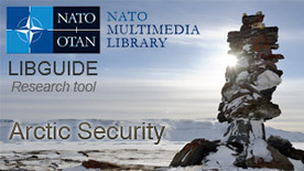 LIBguide_artic-security.jpg