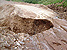 Damaged road in Tucson Sector