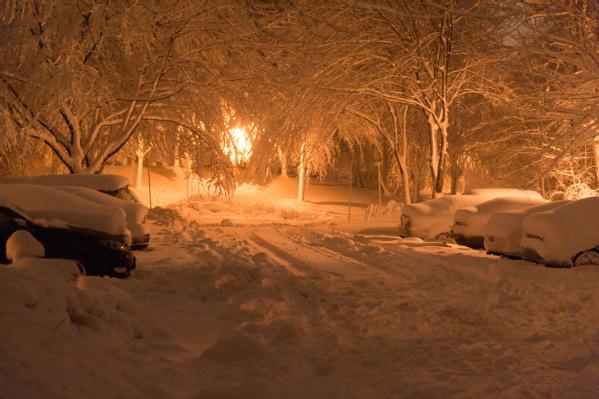Heavy, wet snow blankets cars in a residential neighborhood. Upwards of 8 inches of snow fell across the Washington, DC area. FEMA/Aaron Skolnik
