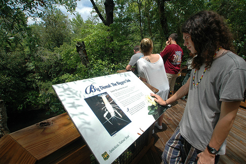 Nathan Wadlinger from the Lumbee Tribe of North Carolina reads an interpretive sign at the Big Dismal Sinkhole at Leon Sinks Geological Area, a popular recreation site located south of Tallahassee, Fla. Wadlinger was one of seven Native American youths from the Florida Indian Youth Program who participated in a group hike of this unique geological recreation site. 