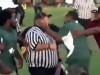 VIDEO: Dion Robinson is accused of punching a referee in the face after a youth football game.