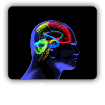 mild Traumatic Brain Injury