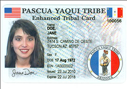 Image of a sample enhanced tribal card being produced for the Pascua Yaqui tribe.
