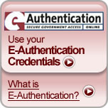 E-Authentication