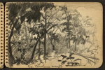 Sketch showing woods drawn while stationed at Fort Jackson, South Carolina.