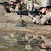 <p>U.S. Marines with Bravo Company, Battalion Landing Team, 1st Battalion, 2nd Marine Regiment, 24th Marine Expeditionary Unit (MEU) fire M4 carbines during a battle sight zero shooting range in Djibouti, Djibouti, Oct. 1, 2012. The training was part of a three-week exercise comprising basic infantry skills and desert survival techniques. The 24th MEU was deployed with the Iwo Jima Amphibious Ready Group as a theater reserve and crisis response force in U.S. Central Command and the U.S. Navy's 5th Fleet area of responsibility. (DoD photo by Staff Sgt. Robert Fisher, U.S. Marine Corps/Released)</p>