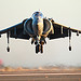 <p> A U.S. Marine Corps AV-8B Harrier aircraft hovers over the flight line during the Marine Corps Community Services-sponsored annual air show at Marine Corps Air Station Miramar in San Diego Oct. 13, 2012. (DoD photo by Cpl. Jamean Berry, U.S. Marine Corps/Released)</p>