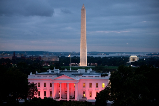 White House Is Pink