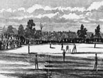 The Cricket Match Played at Hoboken...