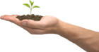 SXC.HU Stock Photo 1005737 arm with plant transparent flipped.png