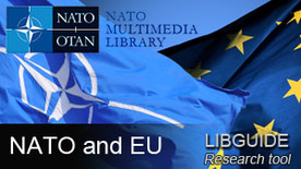 110607-EU-NATO-LIBguide.jpg