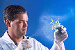 Spraying a plant fungus that is harmless to humans