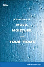 A Brief Guide to Mold, Moisture, and Your Home