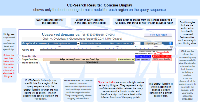 CD-Search results concise display (default), which shows only the top-scoring hits for each region of the query sequence (1CYG_A, GI 157830769, Cyclodextrin Glucanotransferase). Click anywhere on the graphic to open the actual, interactive CD-Search results page.