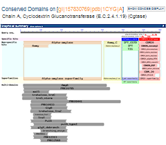 Thumbnail image of a CD-Search results full display, which shows all hits on each region of the query sequence (1CYG_A, Cyclodextrin Glucanotransferase).  Click on image to jump to a larger, annotated version in this help document.