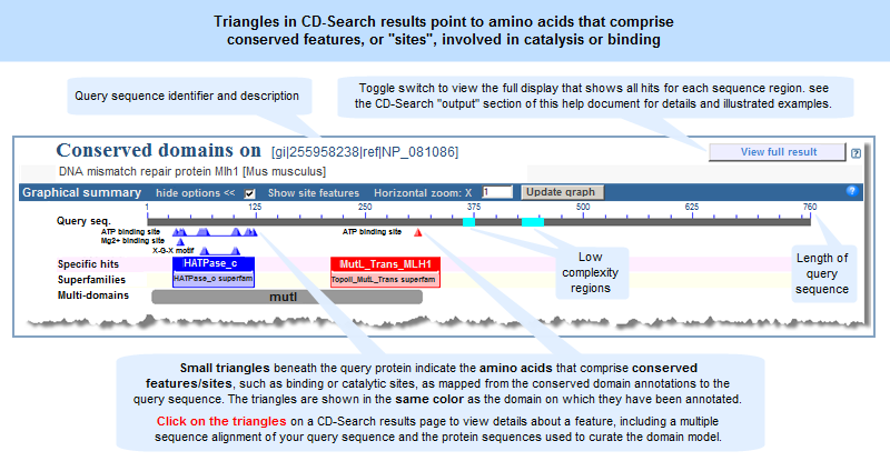 Image showing small triangles that sometimes appear in CD-Search results.  The triangles point to specific residues involved in conserved features, such as binding and catalytic sites, as mapped from a conserved domain to the query protein sequence (NP_081086, mouse DNA mismatch repair protein Mlh1).  Click anywhere on the graphic to open the actual, interactive CD-Search results page.