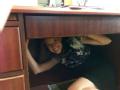 Director of External Affairs Participates in the ShakeOut Drill