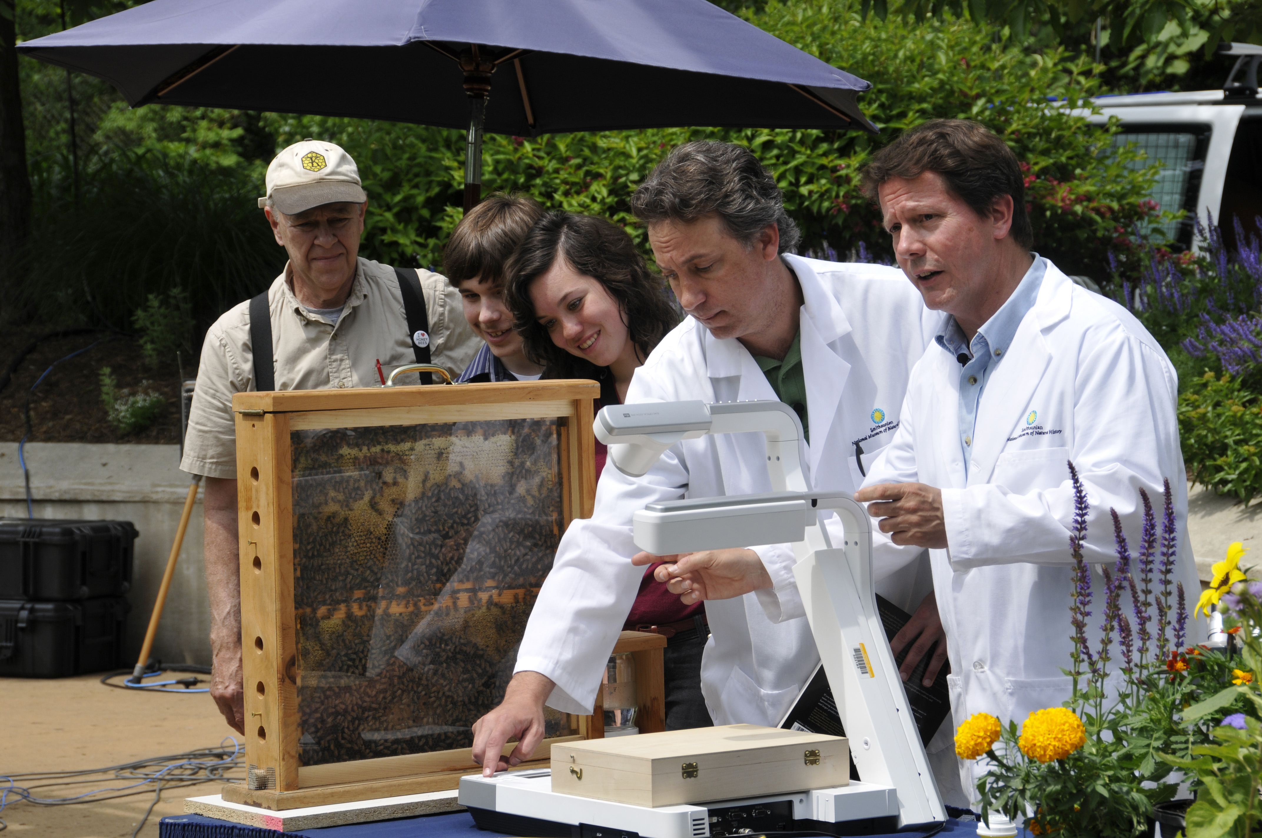 bee hive and scientists