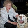 Actress Betty White, the master of ceremonies for the American Humane Association's 2012 Hero Dog of the Year event, congratulates retired Sgt. 1st Class Gabe on his win. According to his owner, Sgt. 1st Class Charles Shuck, Gabe gave White the flowers he received after being named the Hero Dog of the Year. (Photo courtesy of Sgt. 1st Class Charles Shuck)