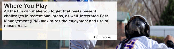 Where You Play - All the fun can make you forget that pests present
challenges in recreational spots as well.  Many managers rely on pesticides to manage pests in buildings and maintain grounds.