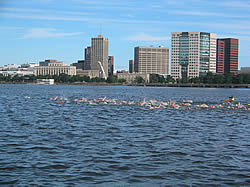 Swimmers on the Charles River