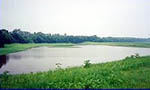 After Photo (1997): Wetlands that were created during the cleanup flourish with a variety of plants and wildlife