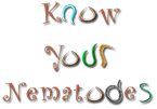 Graphic of a nematode with the text: 'Know Your Nematodes'. Link to story.