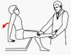 Figure 3. Instructions for sitting knee extension test.