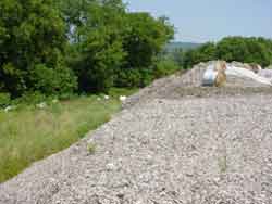 asbestos filing wetlands