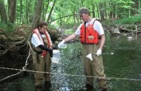 U.S. Geological Survey hydrologic technicians collect a stream sample from Hallocks Mill Brook downstream of the outfall of one of the wastewater treatment plants investigated.