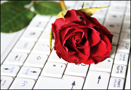 Rose on Computer Keyboard
