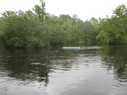 NORTH FORK BLACK CREEK NEAR MIDDLEBURG, FL