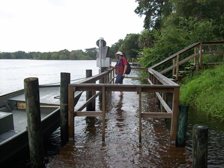 MANATEE RIVER AT FORT HAMER FL