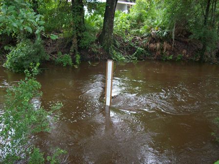 CYPRESS CREEK TRIBUTARY NR WESLEY CHAPEL FL