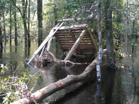 Sante Fe River at O'Leno State Park gage damaged by falling  tree