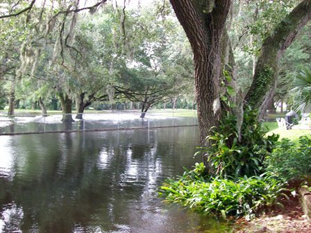 Anclote River nr Elfers