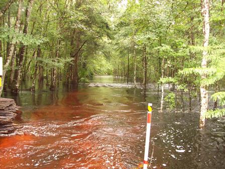 PITHLACHASCOTEE RIVER NEAR NEW PORT RICHEY FL