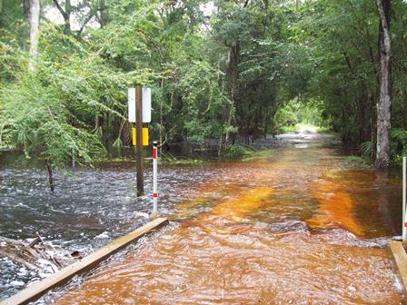 PITHLACHASCOTEE RIVER NEAR NEW PORT RICHEY FL